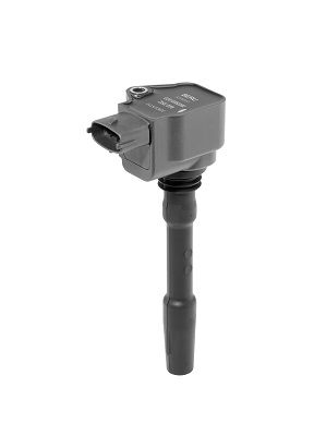 Aizdedzes spole BorgWarner (BERU) ZSE226