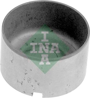 Bīdītājs Schaeffler INA 421 0035 10
