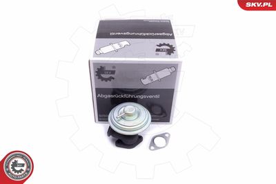 Клапан возврата ОГ ESEN SKV 14SKV203