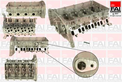 Cilindru galva FAI AutoParts BCH019
