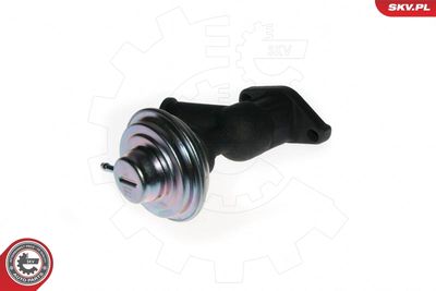Клапан возврата ОГ ESEN SKV 14SKV077