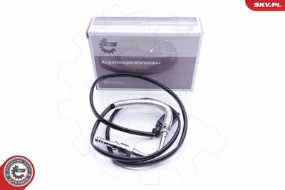 Devējs, Izplūdes gāzu temperatūra ESEN SKV 30SKV219