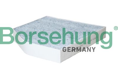 Фильтр, воздух во внутренном пространстве Borsehung B12449