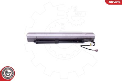 Электромотор, задняя дверь ESEN SKV 52SKV902