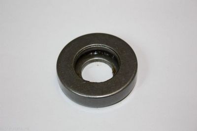 Ritgultnis, Amortizatora statnes balsts AUTOMEGA 110170210