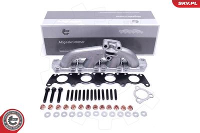 Коллектор, система выпуска ESEN SKV 49SKV069