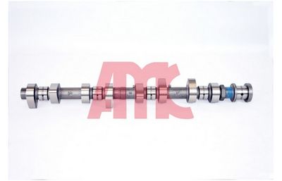 Sadales vārpsta AMC 665833