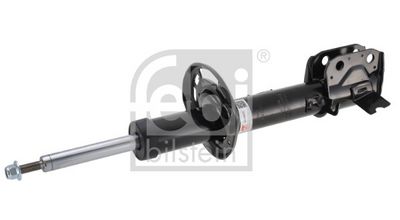 Amortizators FEBI BILSTEIN 1002812