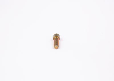 Skrūve BOSCH 2 423 410 031