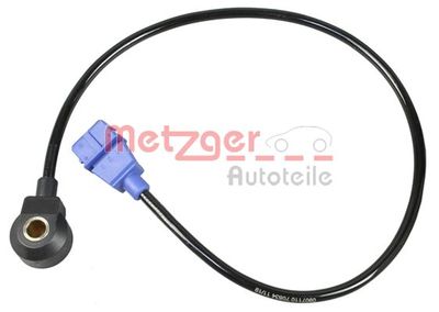  METZGER 0907110
