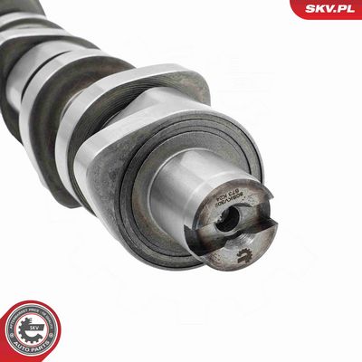 Sadales vārpstas komplekts ESEN SKV 80SKV302