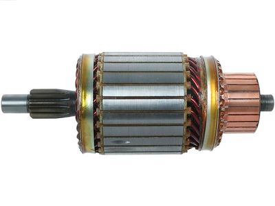 AS-PL SA5030 Enkurs, Starteris