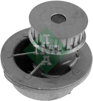 Ūdens sūknis, dzinēja dzesēšana Schaeffler INA 538 0313 10