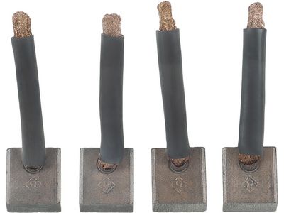 Ogļu sukas, Starteris AS-PL SB0049P