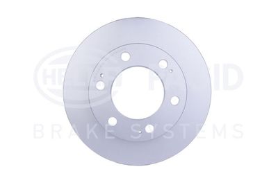 Bremžu diski HELLA PAGID 8DD 355 117-161