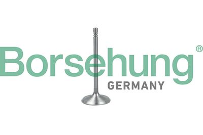 Впускной клапан BORSEHUNG B19017