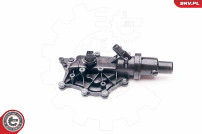 Termostats, Dzesēšanas šķidrums ESEN SKV 20SKV073