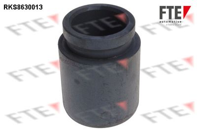 Поршень, корпус скобы тормоза FTE 9313249