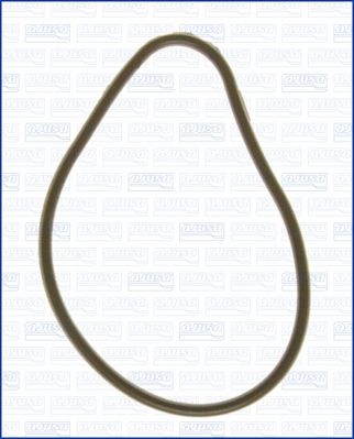 Blīve, Ieplūdes kolektora korpuss AJUSA 01059000