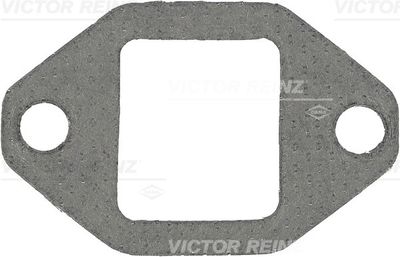 Tarpiklis, išleidimo kolektorius VICTOR REINZ 71-41681-00