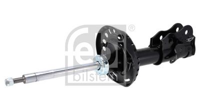 Amortizators FEBI BILSTEIN 1002452