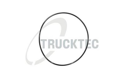 Blīve, Ieplūdes kolektors TRUCKTEC AUTOMOTIVE 02.16.048