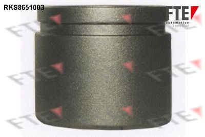 Virzulis, Bremžu suports FTE 9313457