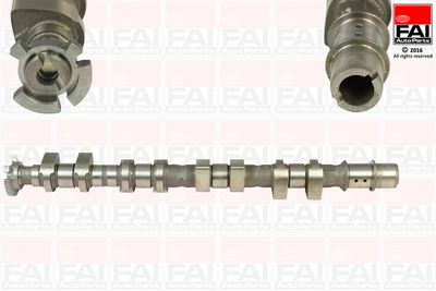 Sadales vārpsta FAI AUTOPARTS C367