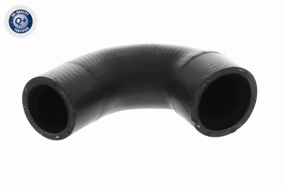 Radiatora cauruļvads VAICO V20-3729