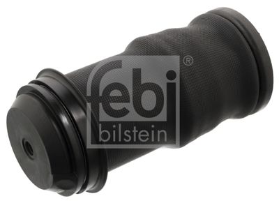 Pneimoatsperes spilvens, Kabīnes atsperojums FEBI BILSTEIN 103211