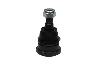 Balst-/Virzošais šarnīrs KAVO PARTS SBJ-6558