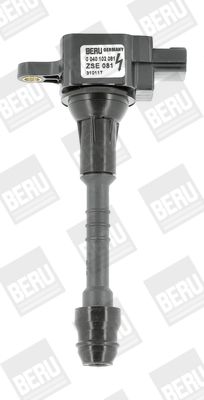Aizdedzes spole BorgWarner (BERU) ZSE081