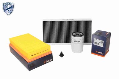 Detaļu komplekts, Tehniskā apkope VAICO V25-0790