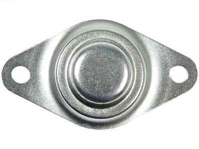 Крышка стартера, карбюратор AS-PL SBR0069