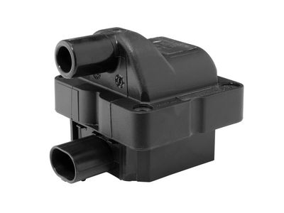 Aizdedzes spole BorgWarner (BERU) ZS078