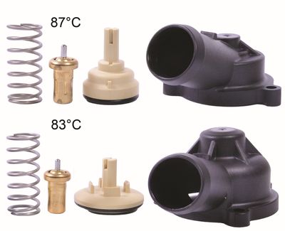 Термостат, охлаждающая жидкость GATES TH704K1