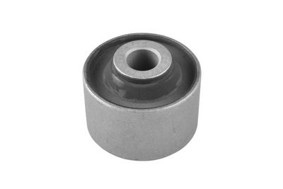 Piekare, Šķērssvira TEDGUM 00671578