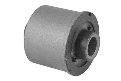 Piekare, Šķērssvira TEDGUM 00505316