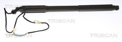 Gāzes atspere, Bagāžas/Kravas nodalījuma vāks TRISCAN 871 011 304