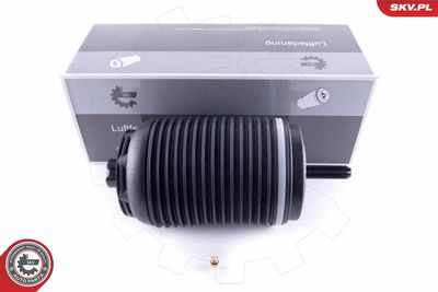 Pneimoatspere, Balstiekārta ESEN SKV 58SKV030