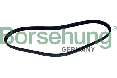 Поликлиновой ремень Borsehung B12498