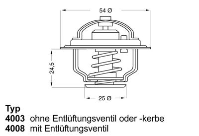 Termostats, Dzesēšanas šķidrums BorgWarner (Wahler) 4008.74D