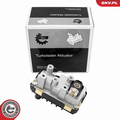 zawór turbiny MERCEDES-BENZ Klasa C Klasa E Klasa M,A6460900180 / 6NW00841 ESEN SKV 95SKV483