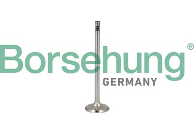 Выпускной клапан Borsehung B10346