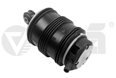 Pneimoatspere, Balstiekārta vika 59834501