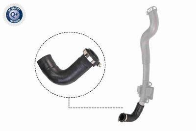 Трубка нагнетаемого воздуха VAICO V46-0828