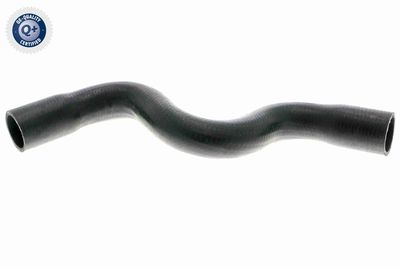 Radiatora cauruļvads VAICO V21-0033