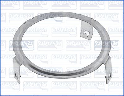 Blīve, Izplūdes gāzu recirkulācijas vārsts AJUSA 01921900