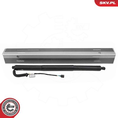 Электромотор, задняя дверь ESEN SKV 52SKV228