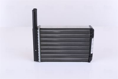 Siltummainis, Salona apsilde NISSENS 71753
